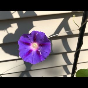 Meet your Posher, Cathy